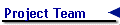 Project Team
