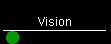Vision